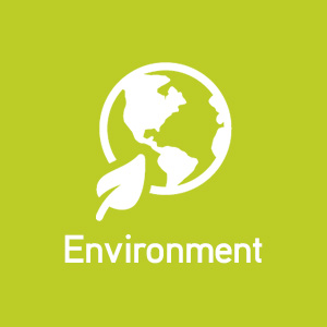 EN image in 2019-2020 report