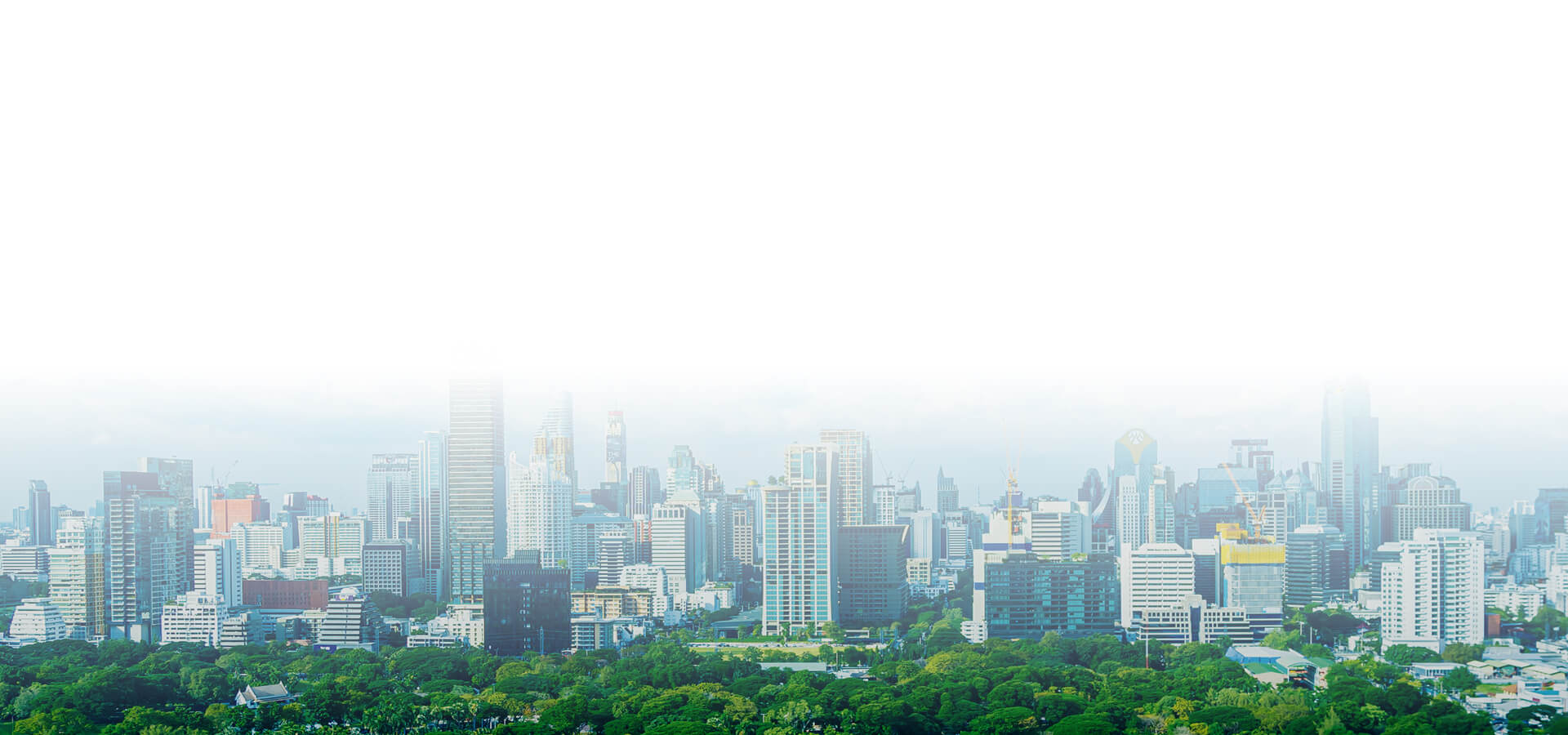 ESG Focus