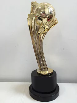 Award Image